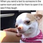 Jamie Lee Hathaway - @_beast_156_ - Instagram