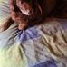 Lee Heaton - Facebook