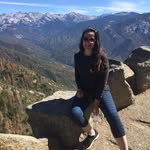 Lee Havard - @lee.havard.146 - Instagram