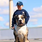 Lee Hawk - @lee_h_8 - Instagram