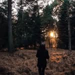 Lee Hawk - @lee.falk.5 - Instagram