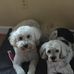 Lee Hawthorne - Facebook