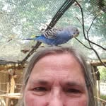 Lee Headrick Bourgeois - @_lee.b - Instagram