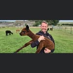 Lee - @leeheaps2023 - Instagram