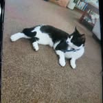 Lee Hedges - @pikachu181122 - Instagram