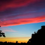 Lee Hedges - @hedges_lee - Instagram