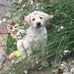 Lee Held - Facebook
