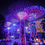 Heller - @heller_lee_sg - Instagram