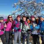 Lee Heller - @grammie_lee513 - Instagram