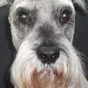 leeheller71 - @leeheller71 - TikTok