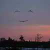 Lee Hendrick - @lee.hendrick2 - TikTok