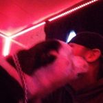 Lee Henley - @leehenleyjr02 - Instagram