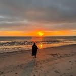 Lee Herd - @leeherd - Instagram