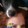 leeherden - @leeherden - TikTok
