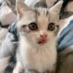 h - @leeherman_ - Instagram