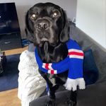 @lee_heron_ - Instagram