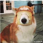 lulu Lee - @lee_heron - Instagram