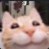Lee - @leehession - TikTok