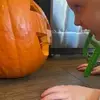 Lee Hetrick - @lee.hetrick - TikTok