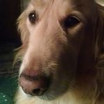 Lee Ann Higdon - @higdonleeann - Instagram