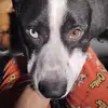 Lee Hilton - @lee.hilton2 - TikTok