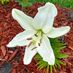 Lee A. Hilty - Facebook