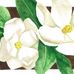 Lee Hilty - Facebook