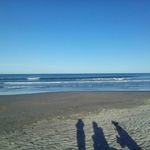 horselover - @tayleehindman - Instagram