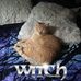 Lee Hindman - Facebook