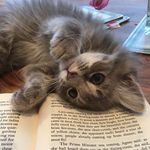 @lee_is_on - Instagram