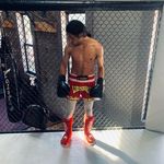 Lee Jackson - @rosewarrior_ - Instagram