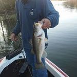 Lee Keeter - @leekeeter - Instagram