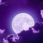 Steven Lee Kellerman - @scubasteve2859 - Instagram