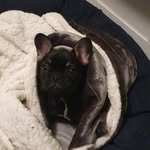leekett - @leekett0606 - Instagram