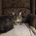 Lee Larson - @lee.larson.3557 - Instagram