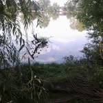 Lee Larson - @lee.larson.547 - Instagram