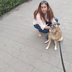 Lee Lev Levin - @lee__levin - Instagram