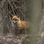 Lee Levin-Friend - @photonanny003 - Instagram