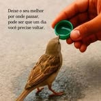 Lee Lopes - Facebook