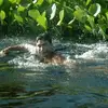 Lee lopes - @lee_lopes_pantanal - TikTok