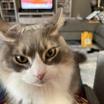 Lee Lyons - @leerlyons - Instagram