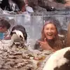 mace - @mace.lee - TikTok