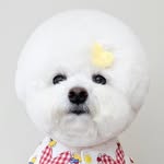 마요 - @leemayo_o - Instagram