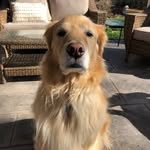 Kathy Mulhern - @kathleensmulhern - Instagram