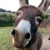 Lee Parrish - Facebook