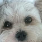 sandra lee peebles - @sandraleepeebles - Instagram