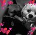 LeeAnn Pelkey - Facebook