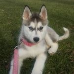 Miya Lee Pelkey - @miyapelkey - Instagram