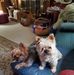 Lee Pence - Facebook