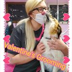 Les-Lee Pennell - @lesleeatvpggrooms - Instagram